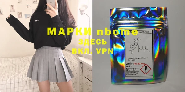 гидра Бородино