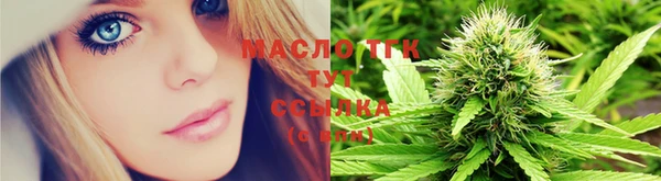 гидра Бородино