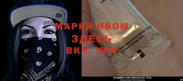 гидра Бородино