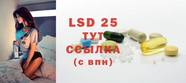 гидра Бородино