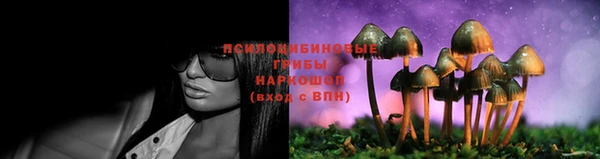 стаф Бугульма