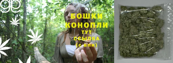 индика Верхнеуральск